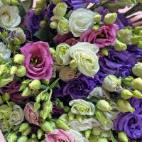 Bouquet of 25 mixed eustomas Zvenygorodka