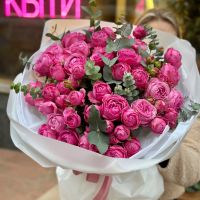 25 рожевих піоновидних троянд  Південна Дакота