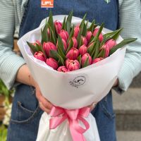 25 тюльпанів Columbus Перерита