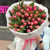 51 тюльпан Columbus Киев