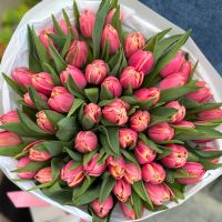 51 тюльпан Columbus Рі