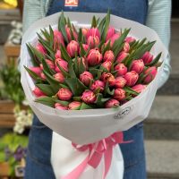 51 тюльпан Columbus Рі