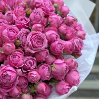Букет пионовидных роз 51 шт Форт-Ворт