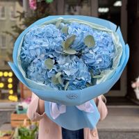 Bouquet 5 blue hydrangeas Belozerka