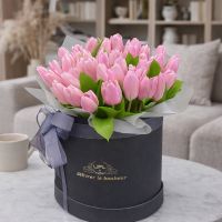 Рожеві тюльпани в коробці 45шт Коростень