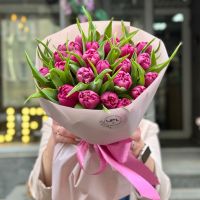 25 піоновидних тюльпанів К'янчіано-Терме