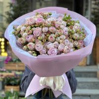 25 спрей троянд Блоссом Баблз Кімберлі