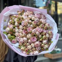 25 спрей троянд Блоссом Баблз Кімберлі