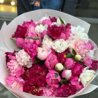 51 пион микс Берн