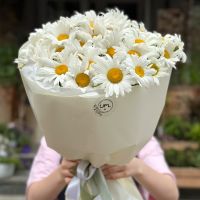 Букет ромашек (25 шт) Киев