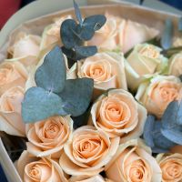 25 персиковых роз Фушун