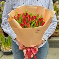 25 red tulips Nikolaev_zhovtneviy