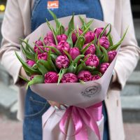 25 піоновидних тюльпанів К'янчіано-Терме
