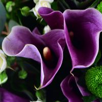  Bouquet French garden Vinnitsa
                                