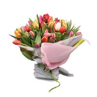 Тюльпаны 51 шт Рукла