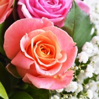 Букет цветов Аметист Алкмаар
                            