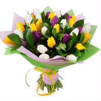 35 тюльпанов микс Карабибер