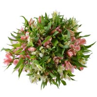 Magic Fireworks with vase Kyiv (Kiev)