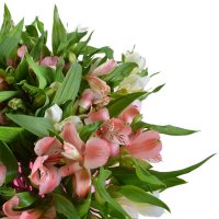 Magic Fireworks with vase Kyiv (Kiev)