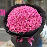 Magic volcano Pink Roses 101pcs Staraja Sinjava