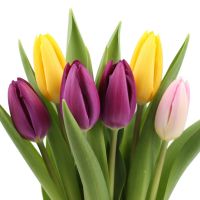  Букет Тюльпаны поштучно Рукла
                            