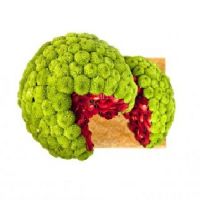 Bouquet of flowers Watermelon Bali
                            