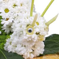  Bouquet Big snail Kropyvnytskyi
                            