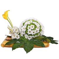  Bouquet Big snail Kropyvnytskyi
                            