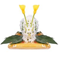  Bouquet Big snail Kropyvnytskyi
                            