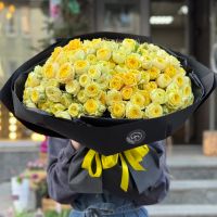 51 yellow peony roses Dronten