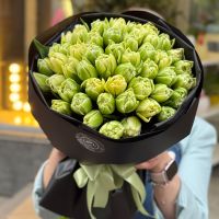 51 тюльпан Verona Рі