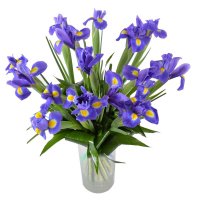  Bouquet Heaven field Fastov
                                