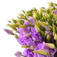 Bouquet of flowers Purple Nikolaev
                                