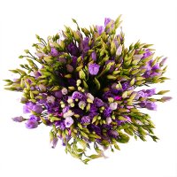 Bouquet of flowers Purple Nikolaev
                                