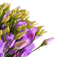 Bouquet of flowers Purple Nikolaev
                                