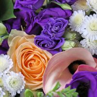  Bouquet Generous gentleman Brovari
                                