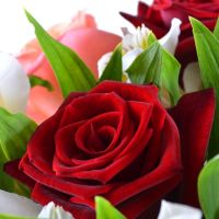 Bouquet of flowers Charm Kropyvnytskyi
                            