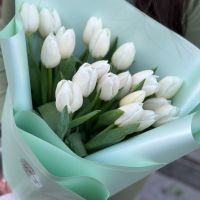 Most gentle girl Qasr