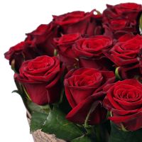 35 roses Odessa Truskavets