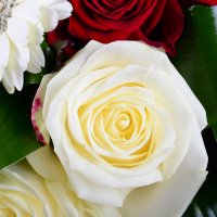  Bouquet Charming romance Kharkov
                                