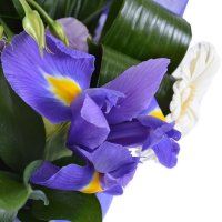  Bouquet Paradise lagoon Chornomorsk
                                