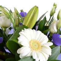  Bouquet Paradise lagoon Chornomorsk
                                