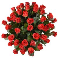 45 red roses Kherson