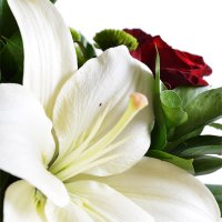 Букет цветов Омега Бат-Ям
                            