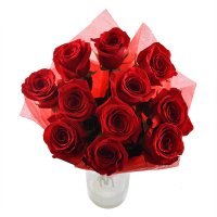 11 premium roses Aleksandriya (Україна)