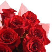 11 premium roses Aleksandriya (Україна)