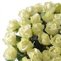 35 white roses Clitheroe