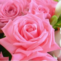 Bouquet of flowers Japanese Charleroi
                            