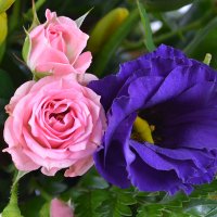  Bouquet For girl Odessa
                                