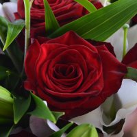 Bouquet of flowers Congratulate Poltava
                                